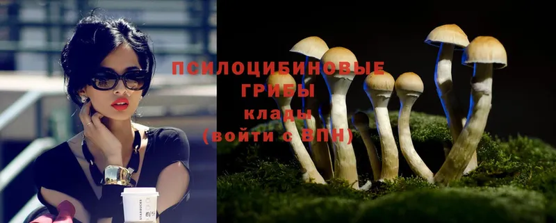 Галлюциногенные грибы MAGIC MUSHROOMS  Курган 